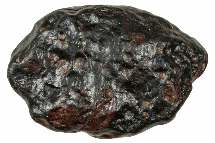 Carbonaceous Chondrite Meteorite ( g) - NWA #334428